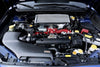 ARMASpeed Subaru WRX Cold Carbon Intake