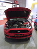 ARMASpeed Ford Mustang 2.3T Cold Carbon Intake